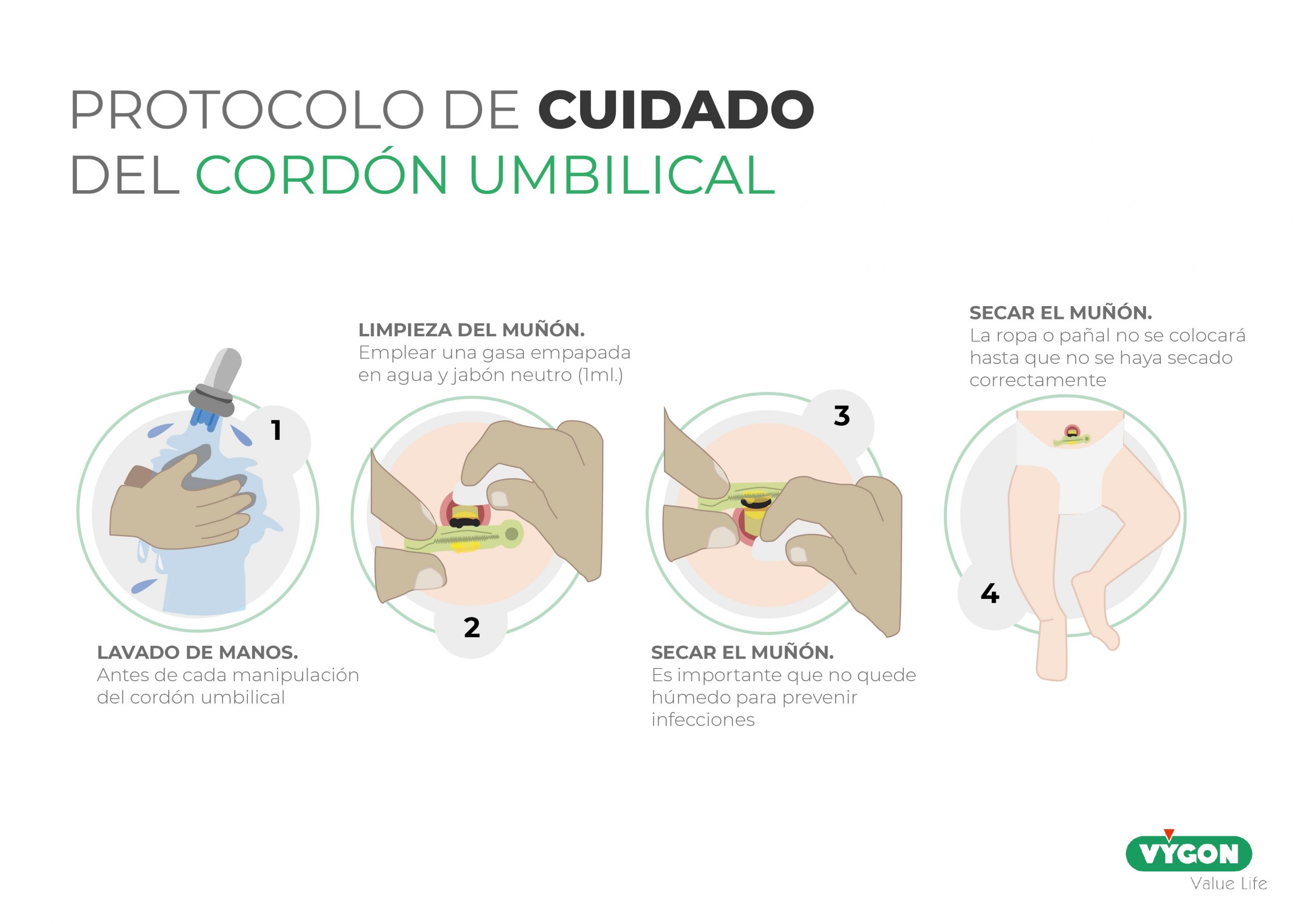 Pautas básicas para curar el cordón umbilical del recién nacido - Hospital  Manises