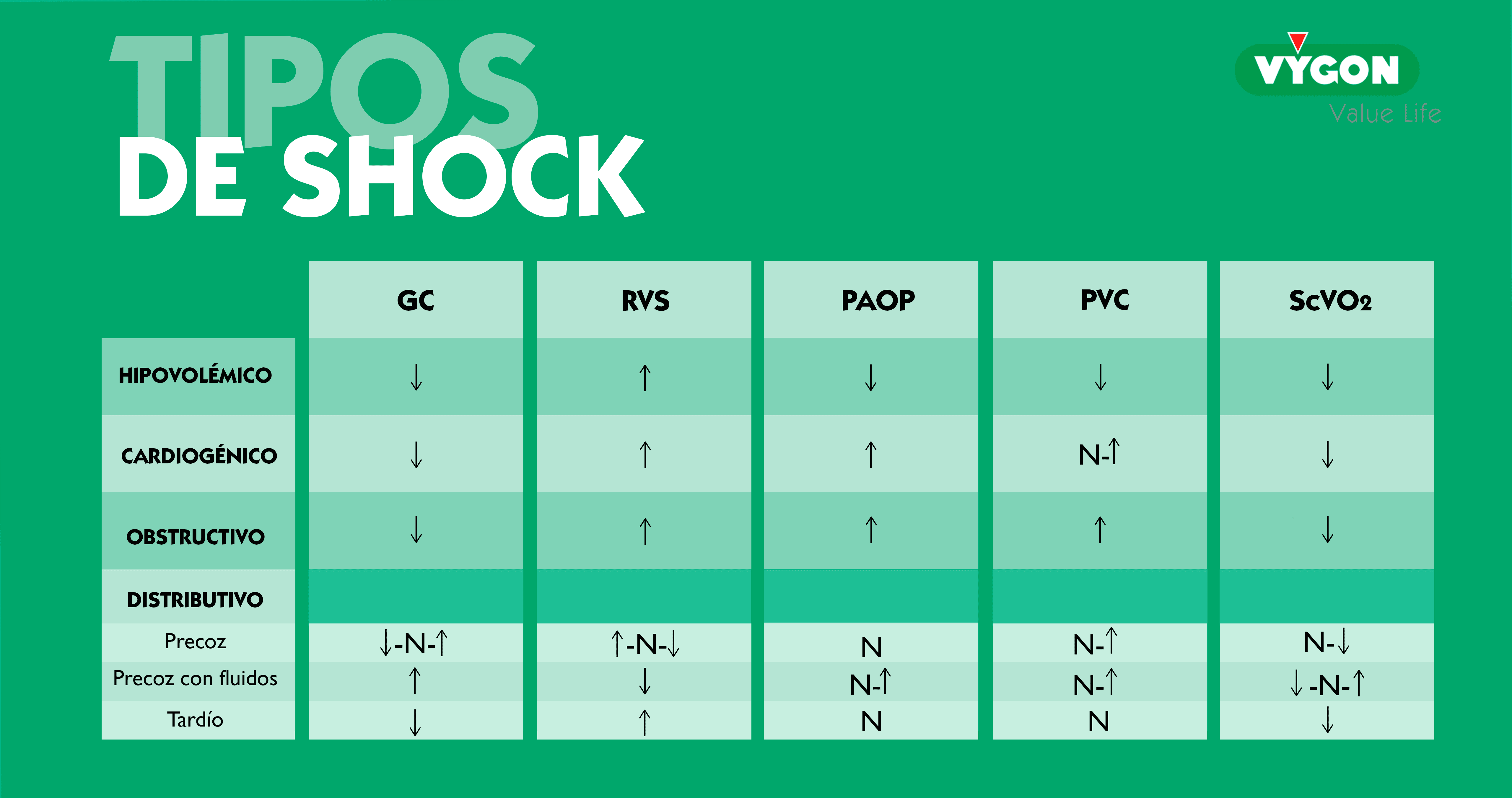 Claves Para Identificar El Shock S Ptico Campus Vygon