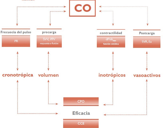 función cardiaca