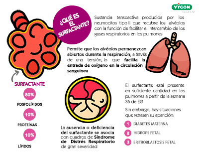 ¿Qué es el surfactante?