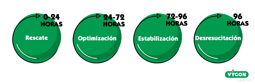 Fases reanimación hídrica