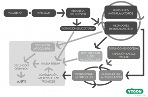 oxigenación tisular