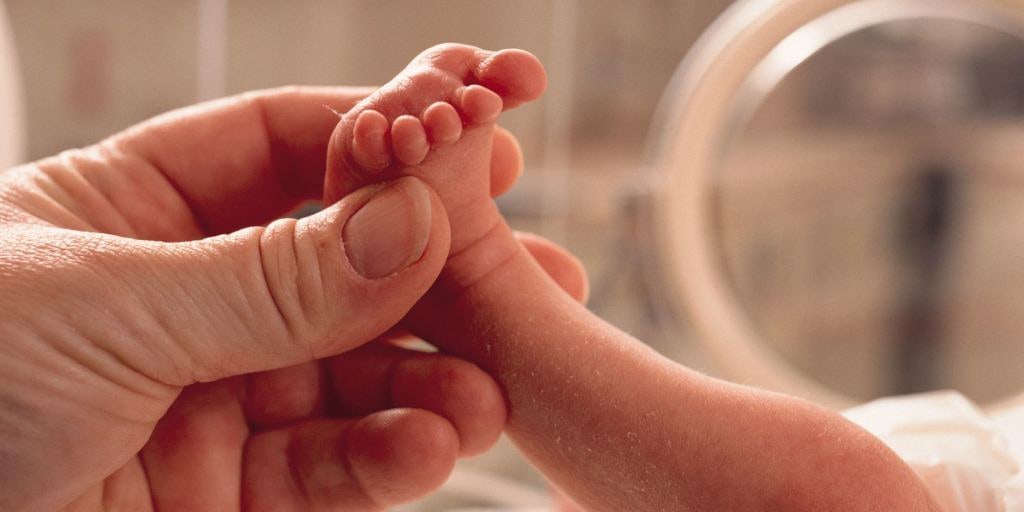 ¿Qué introductor elegir para la canalización de PICCs neonatales?