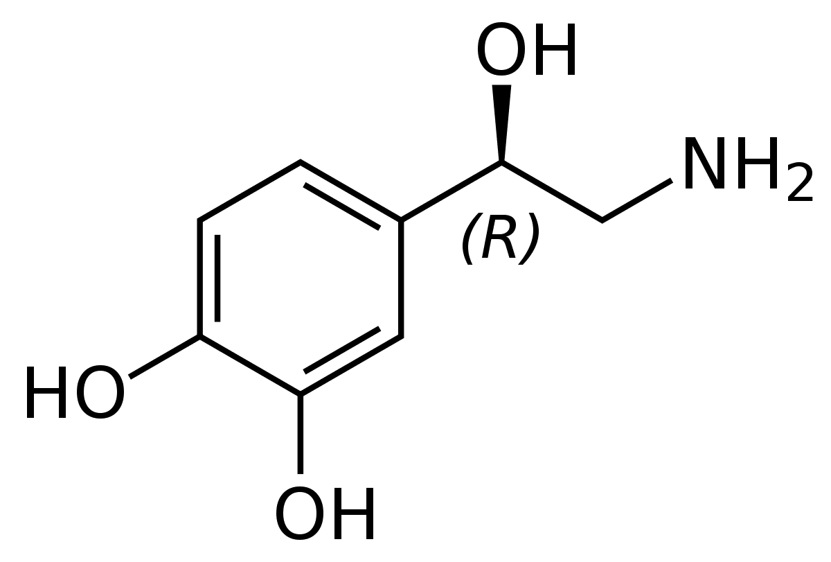 noradrenalina, norepinefrina