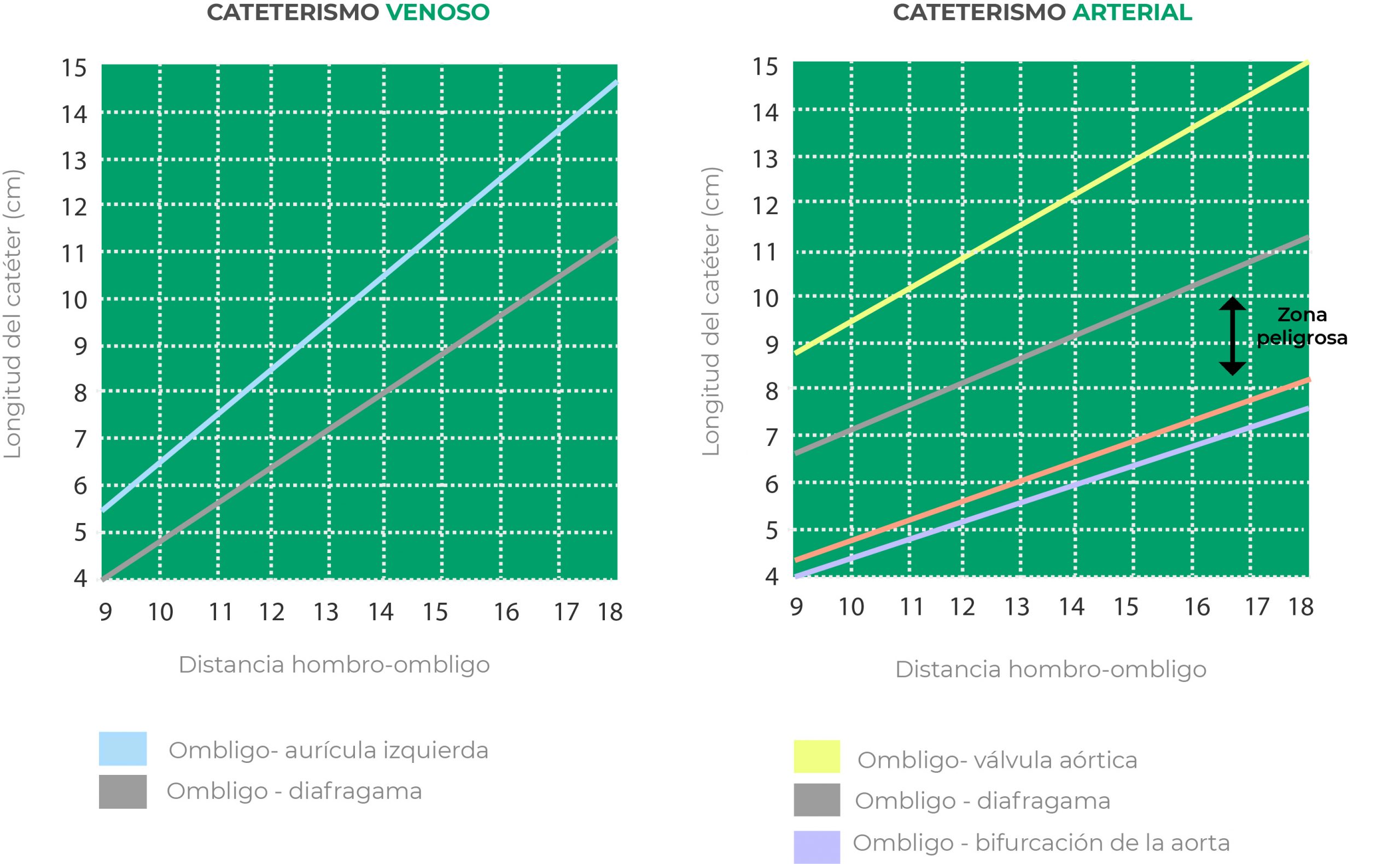 Medición, hombro ombligo