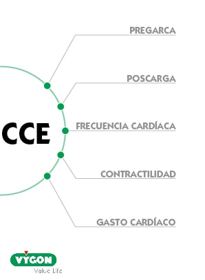 cce