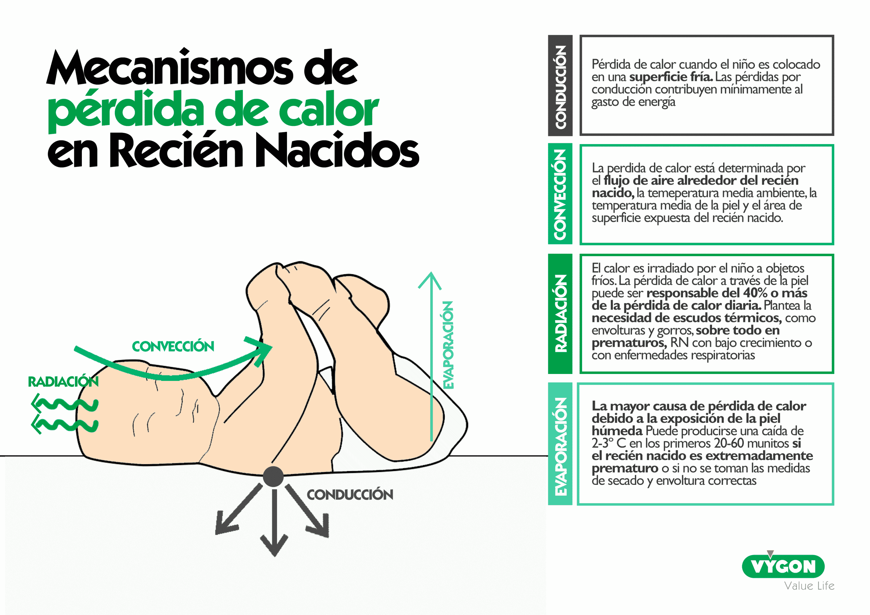 Mecanismos de pérdida de calor