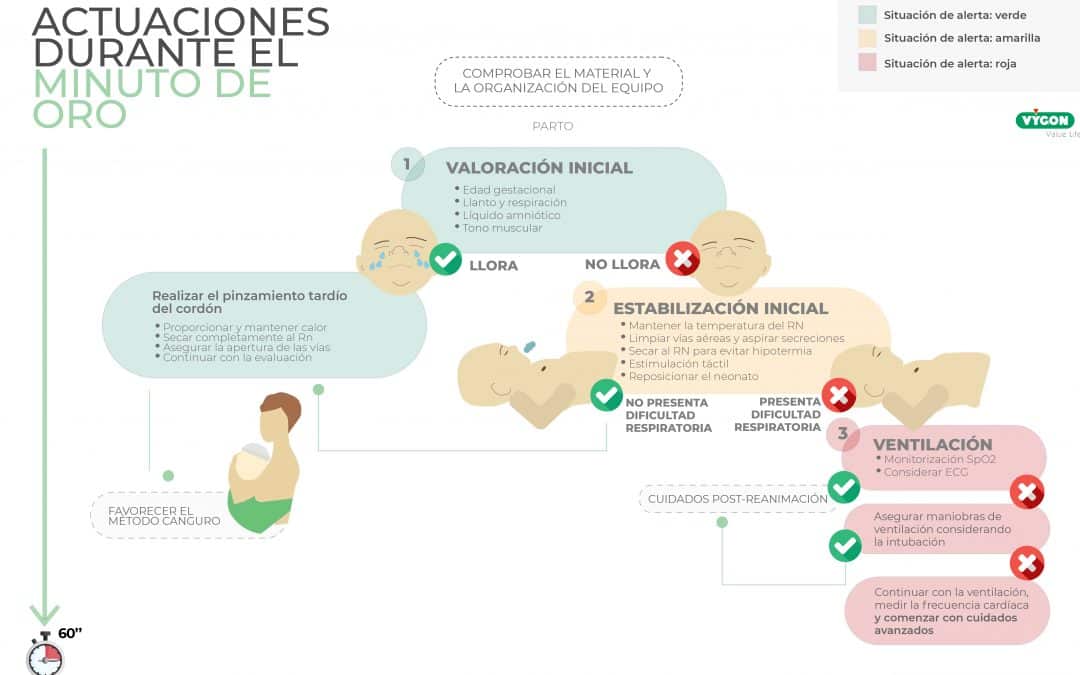 Actuaciones durante el minuto de oro neonatal