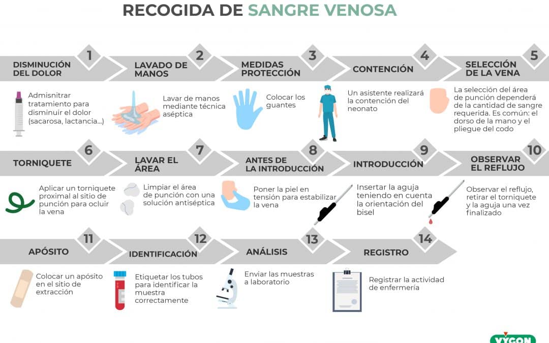 Recogida de sangre venosa en neonatos