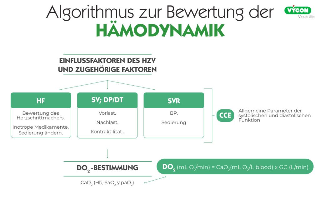 Algorithmus-Haemodynamik