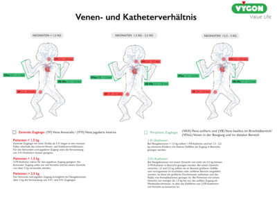 Venen- und Katheterverhältnis