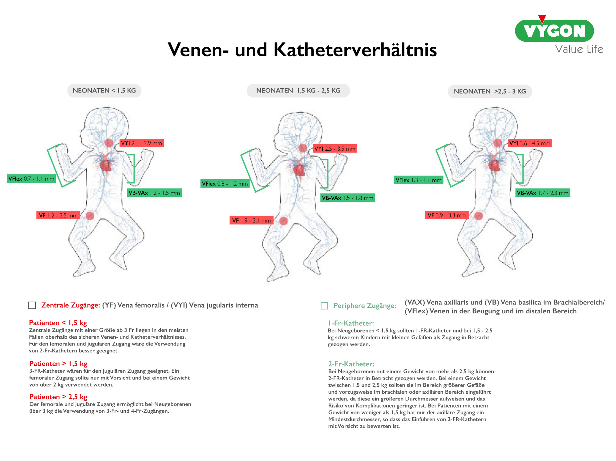 Venen- und Katheterverhältnis