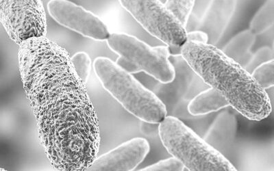 Superbacterias, una amenaza para la salud mundial