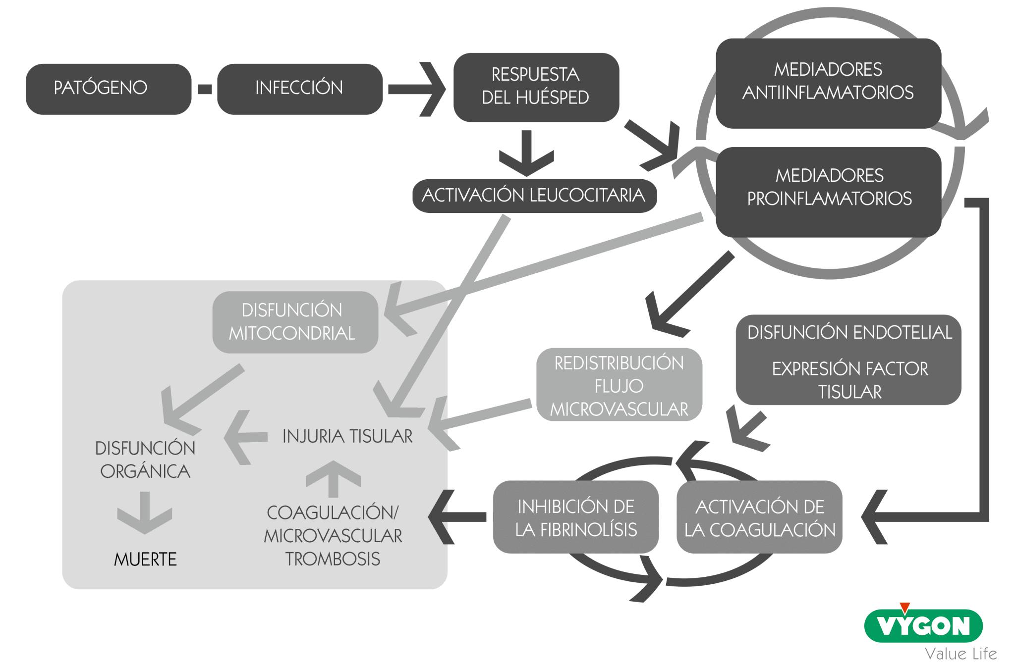 Oxigenación Tisular ¿cómo Medirla Campus Vygon España 3158