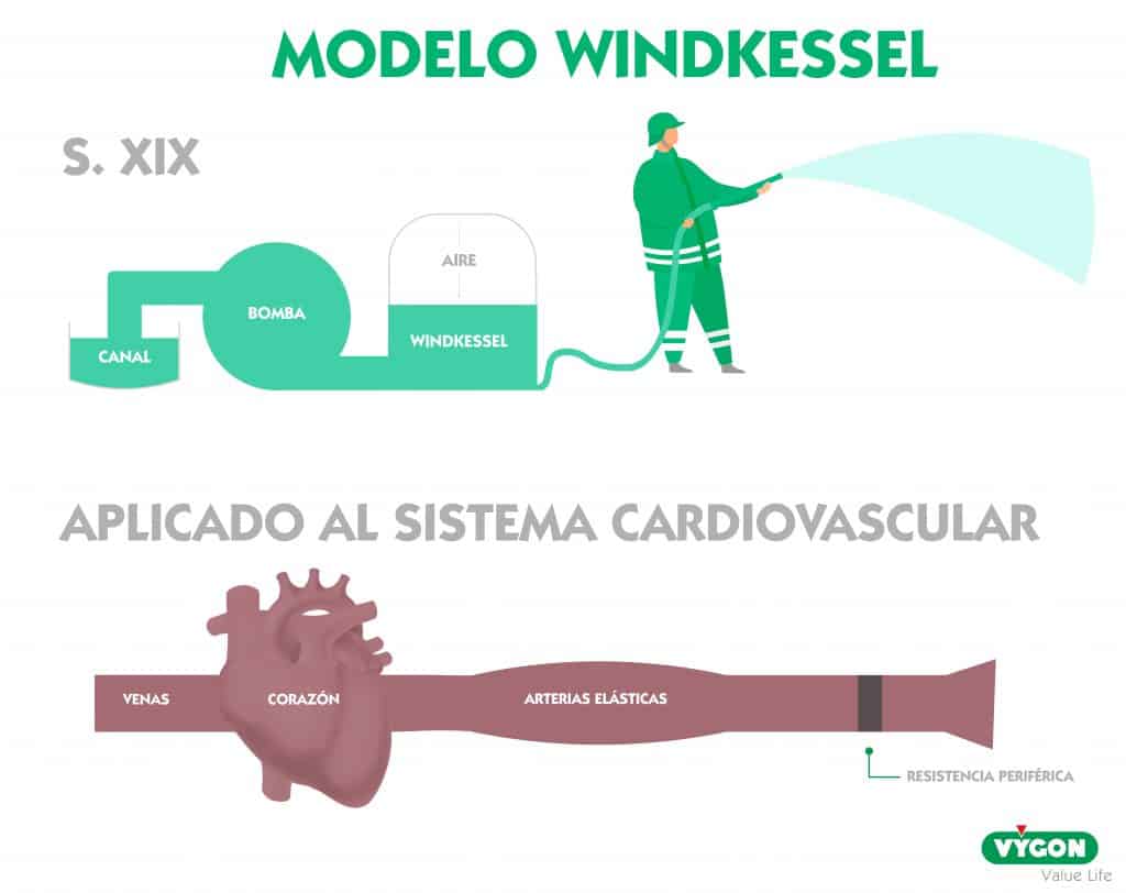modelo de Windkessel 