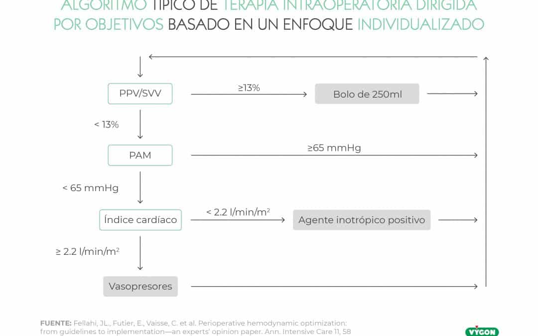 Algoritmo típico de terapia intraoperatoria dirigida por objetivos basado en un enfoque individualizado