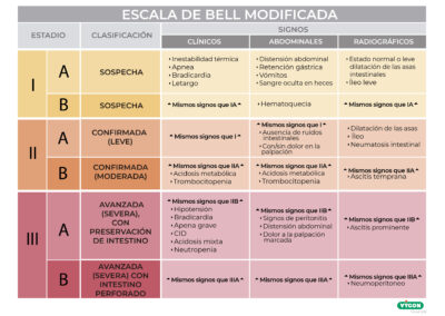 Escala de Bell modificada: clasificación de Enterocolitis Necrotizante neonatal