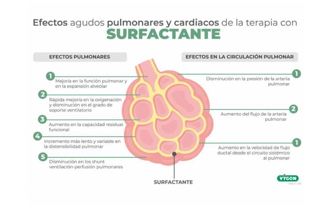 Efectos agudos pulmonares y cardiacos de la terapia con surfactante