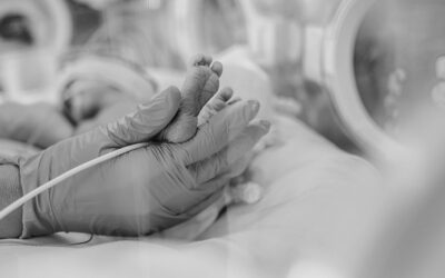 ¿Por qué la elastancia en los neonatos es más elevada que en el paciente adulto?