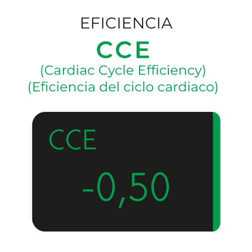 EFICIENCIA-CCE