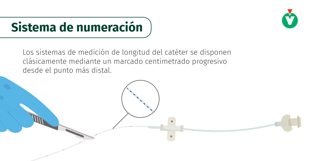 numeración para cortar catéteres