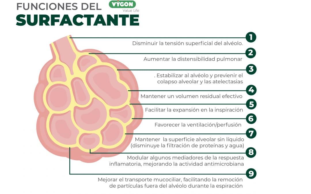 Funciones del surfactante