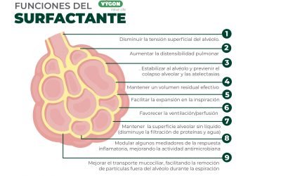 Funciones del surfactante