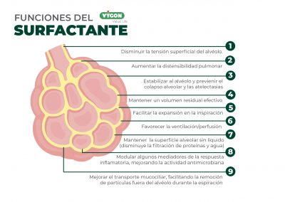 Funciones del surfactante