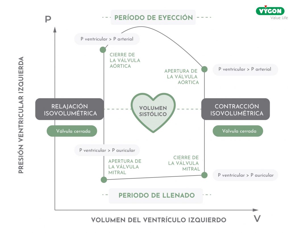 Elastancia arterial