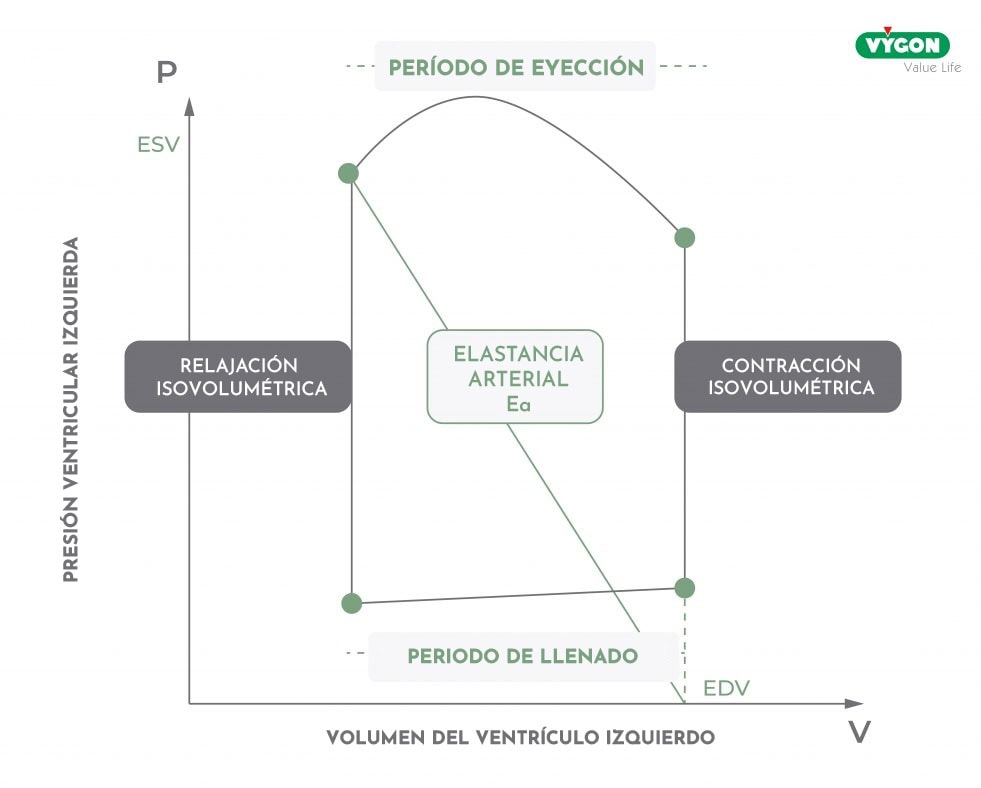 Elastancia arterial