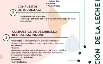 Composición de la leche materna
