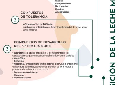 Composición de la leche materna