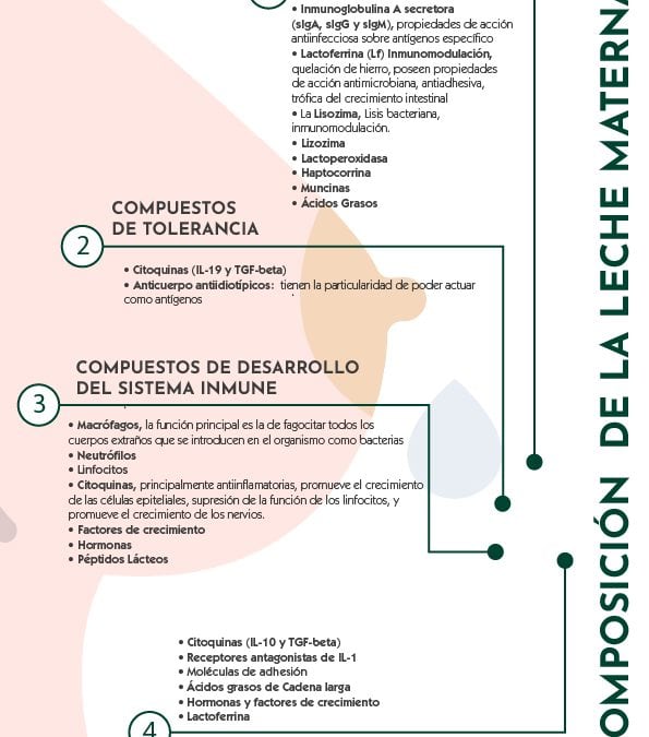 Composición de la leche materna