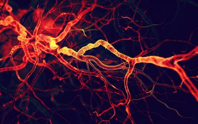 Guía práctica para el abordaje de una estenosis vascular: de la evaluación a la gestión de la crisis