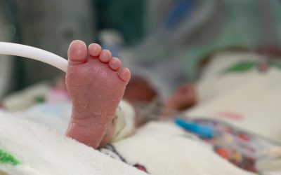 Cortar o no cortar los catéteres en neonatología