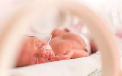 ¿Cómo elegir la zona a puncionar en el abordaje transversal fuera de plano en neonatología?