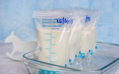 Acidez Dornic como indicador de calidad de la leche materna en las UCIN