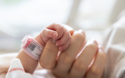 ¿Por qué la elastancia en los neonatos es más elevada que en el paciente adulto?