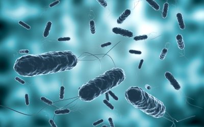 Cómo aplicar el protocolo de bacteriemia zero explicado por profesionales