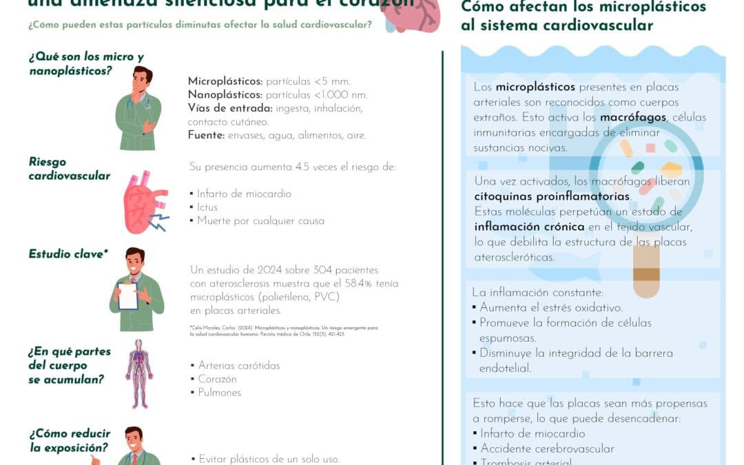 Microplásticos y enfermedad cardiovascular