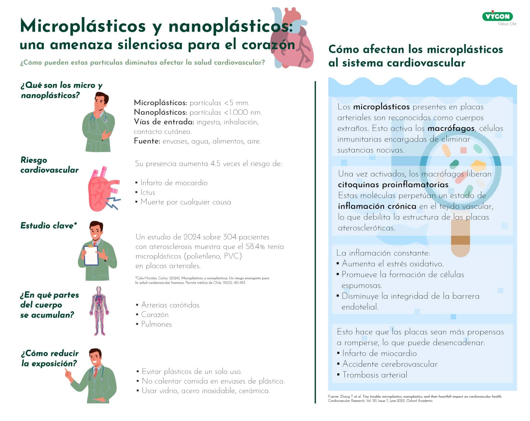 Microplásticos y enfermedades cardiovasculares