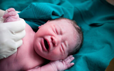 ENFit un sistema incompatible con la seguridad neonatal II