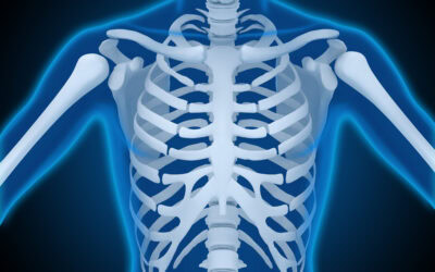 Plexo braquial: claves para conocerlo en profundidad