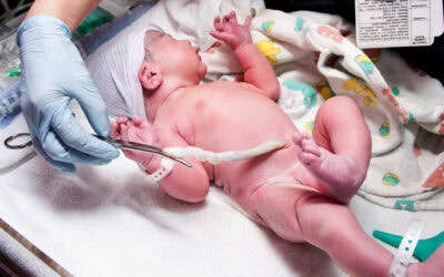 Guía para el cuidado y mantenimiento de PICC neonatal