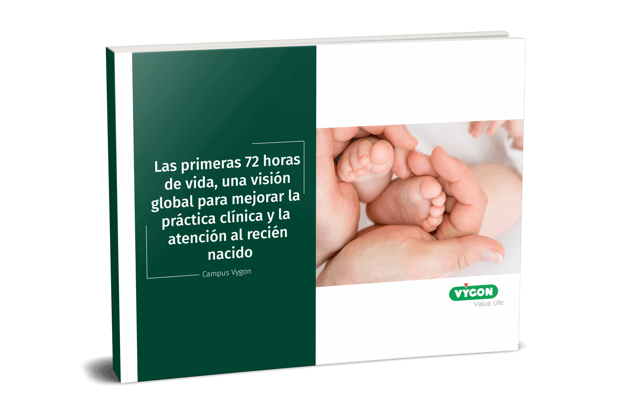 portada de ebook jornada vyneodays