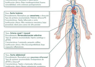 Mapa de aplicaciones clínicas de cada tipo de prótesis vascular