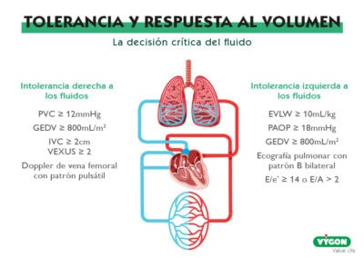 Tolerancia y respuesta al volumen