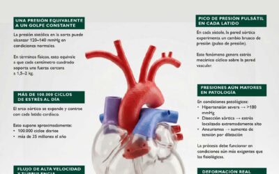 Anatomía del arco aórtico en datos