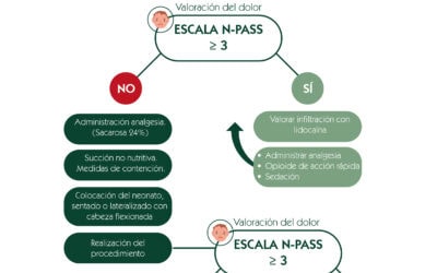 Escala del dolor. Procedimiento de punción lumbar en neonatos