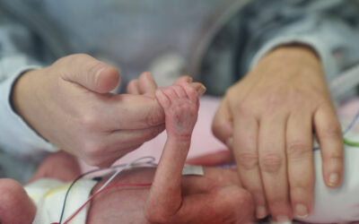 Abordaje avanzado de las vías venosas periféricas en neonatología: evidencia, gestión y prevención de complicaciones